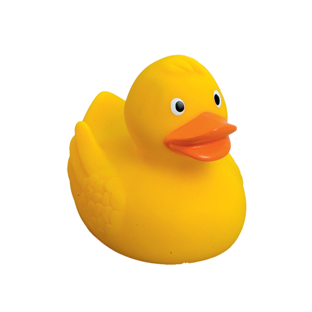 Canard 1